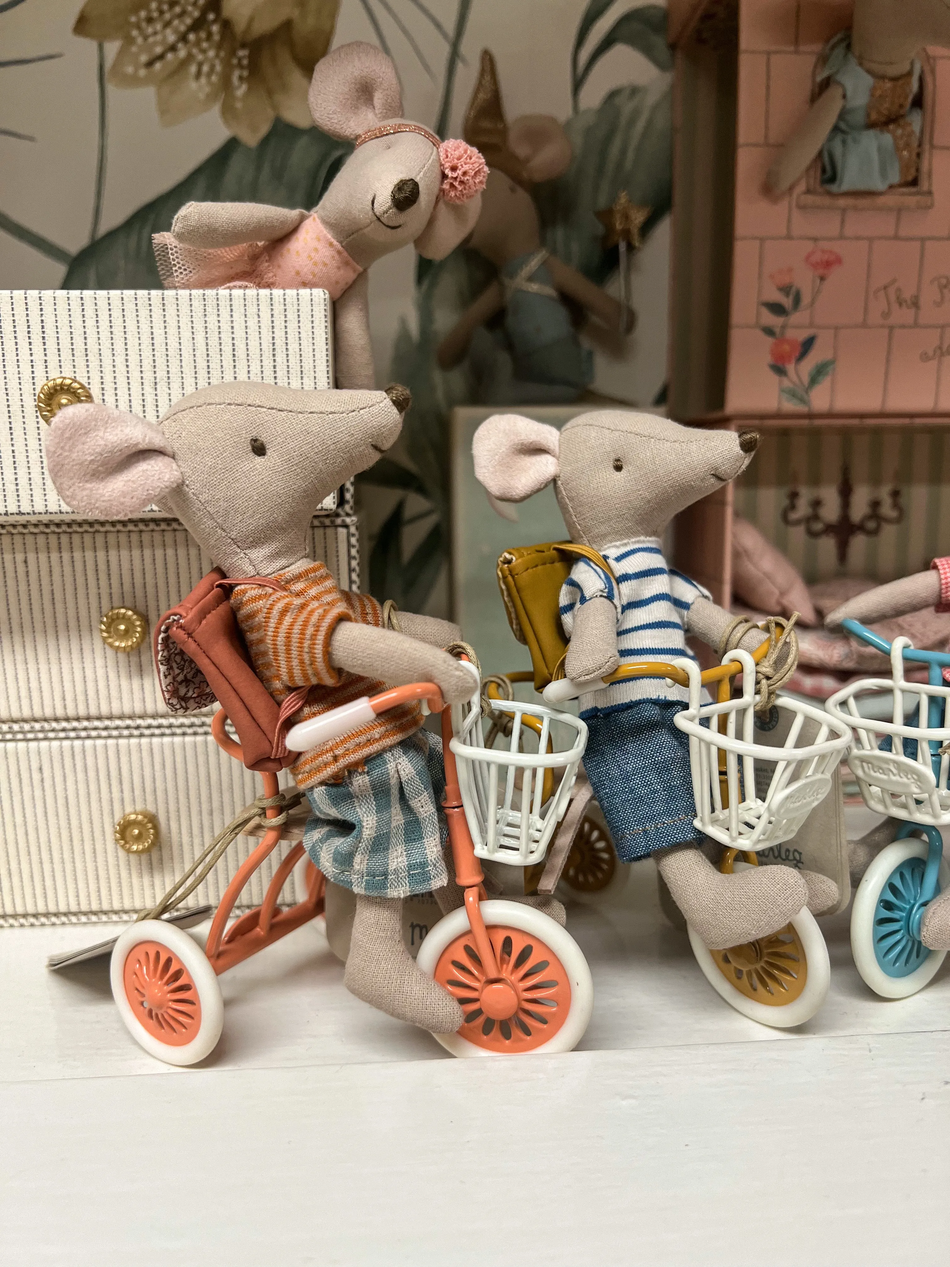 Abri a tricycle, Mouse