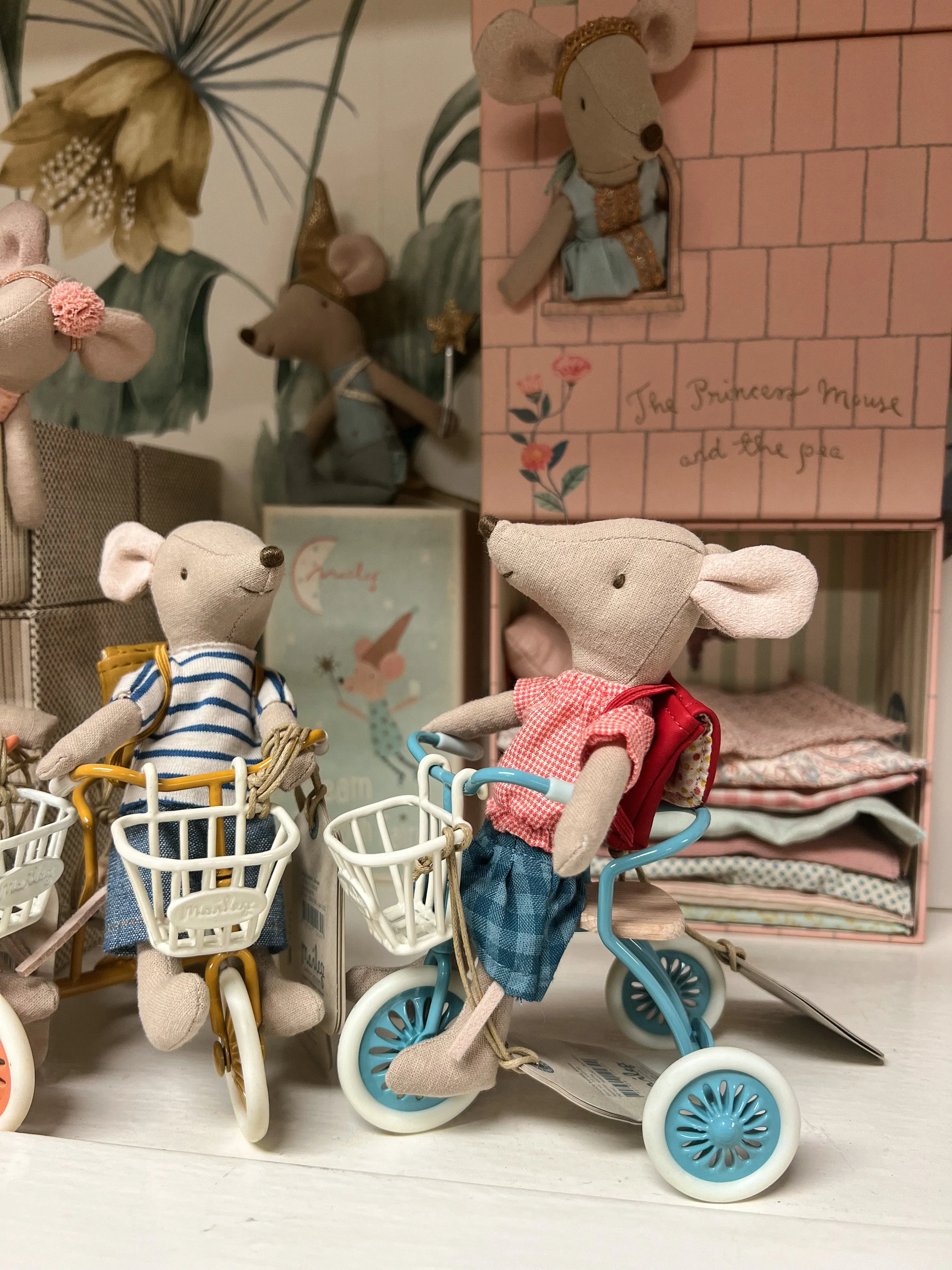 Abri a tricycle, Mouse