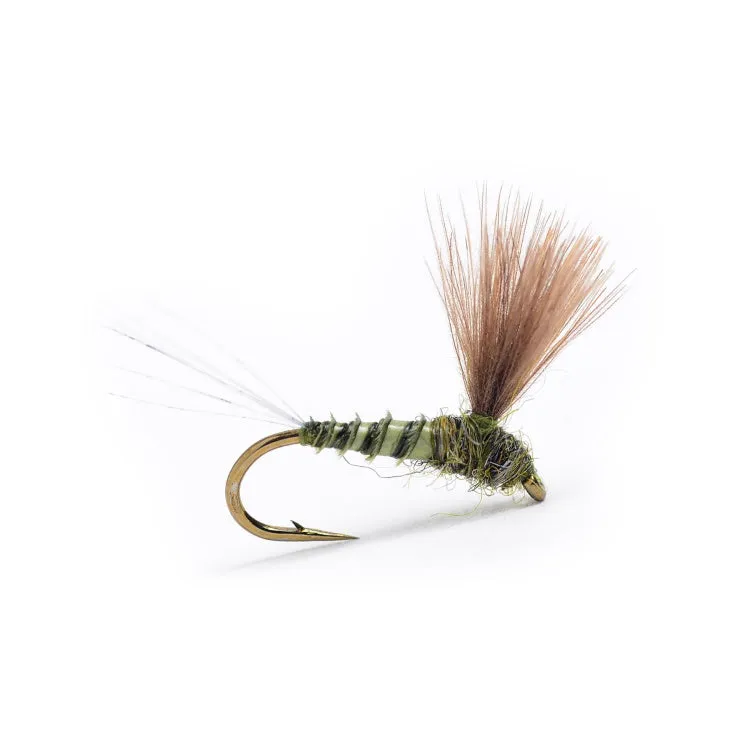 CDC Biot Comparadun Grey Olive Flies