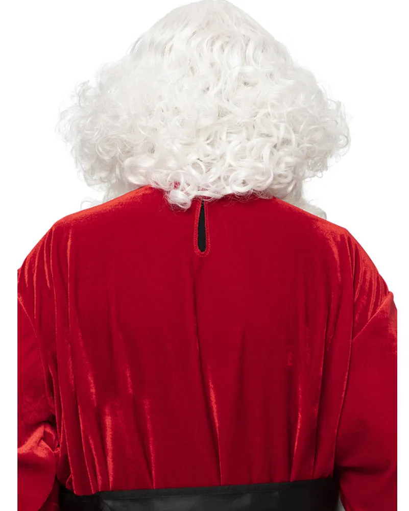 Christmas Santa Professional Wig and Beard Set