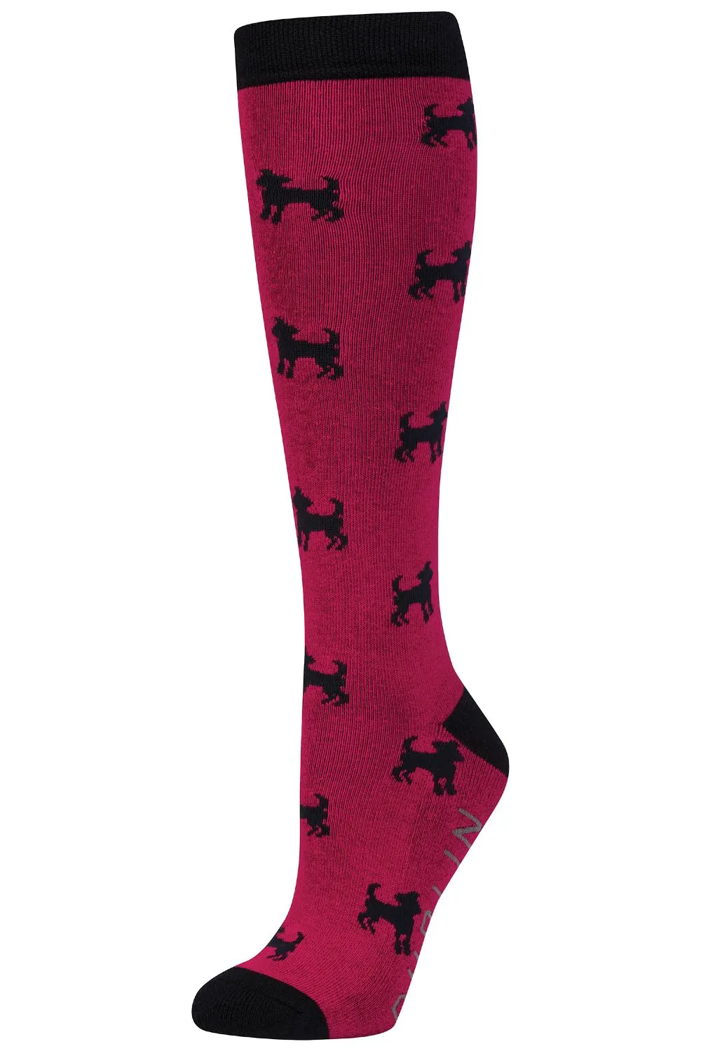 Dublin Single Pack Socks