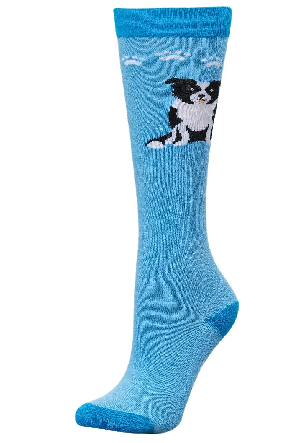 Dublin Single Pack Socks