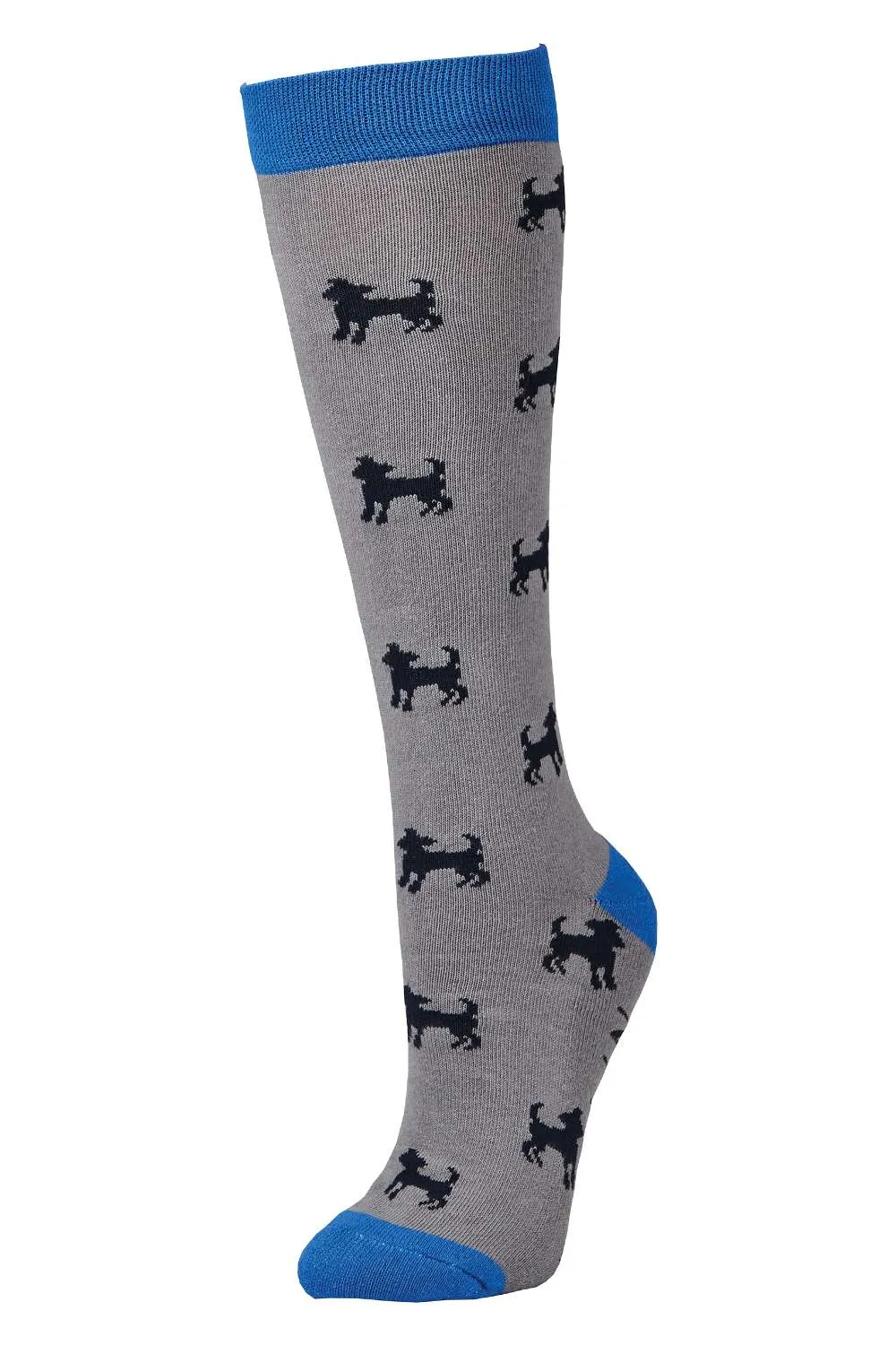 Dublin Single Pack Socks