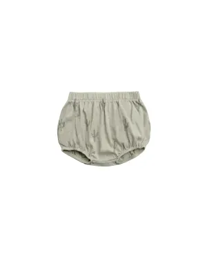 essential bloomer || cactus