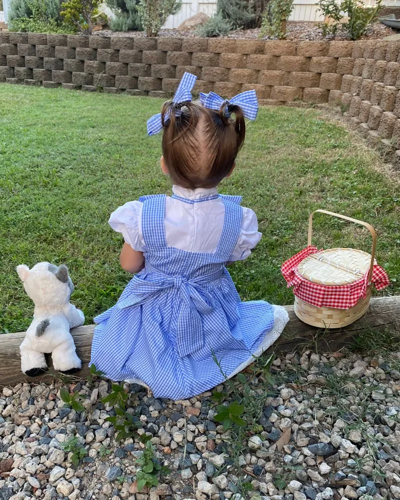 Girl from Oz Deluxe Girls Toddler Costume