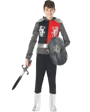 Medieval Knight Boys Costume