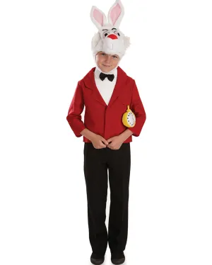 Mister Rabbit Boys Costume