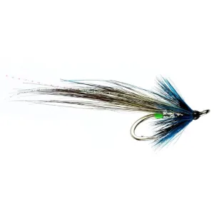 Morning Glory Shrimp Flies