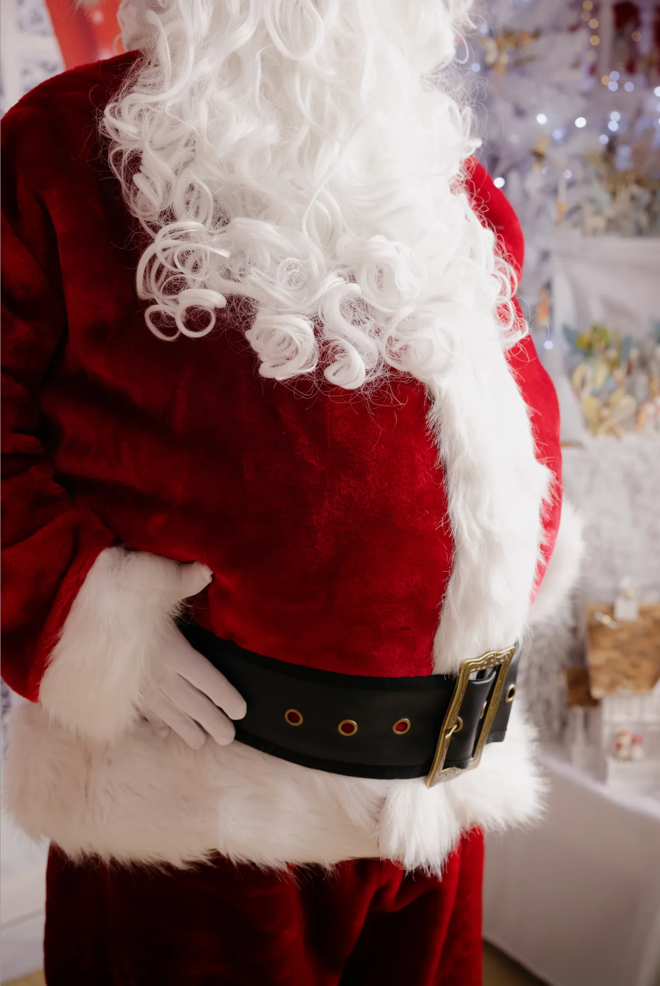 Professional Plush Santa Suit Mens Christmas Costume
