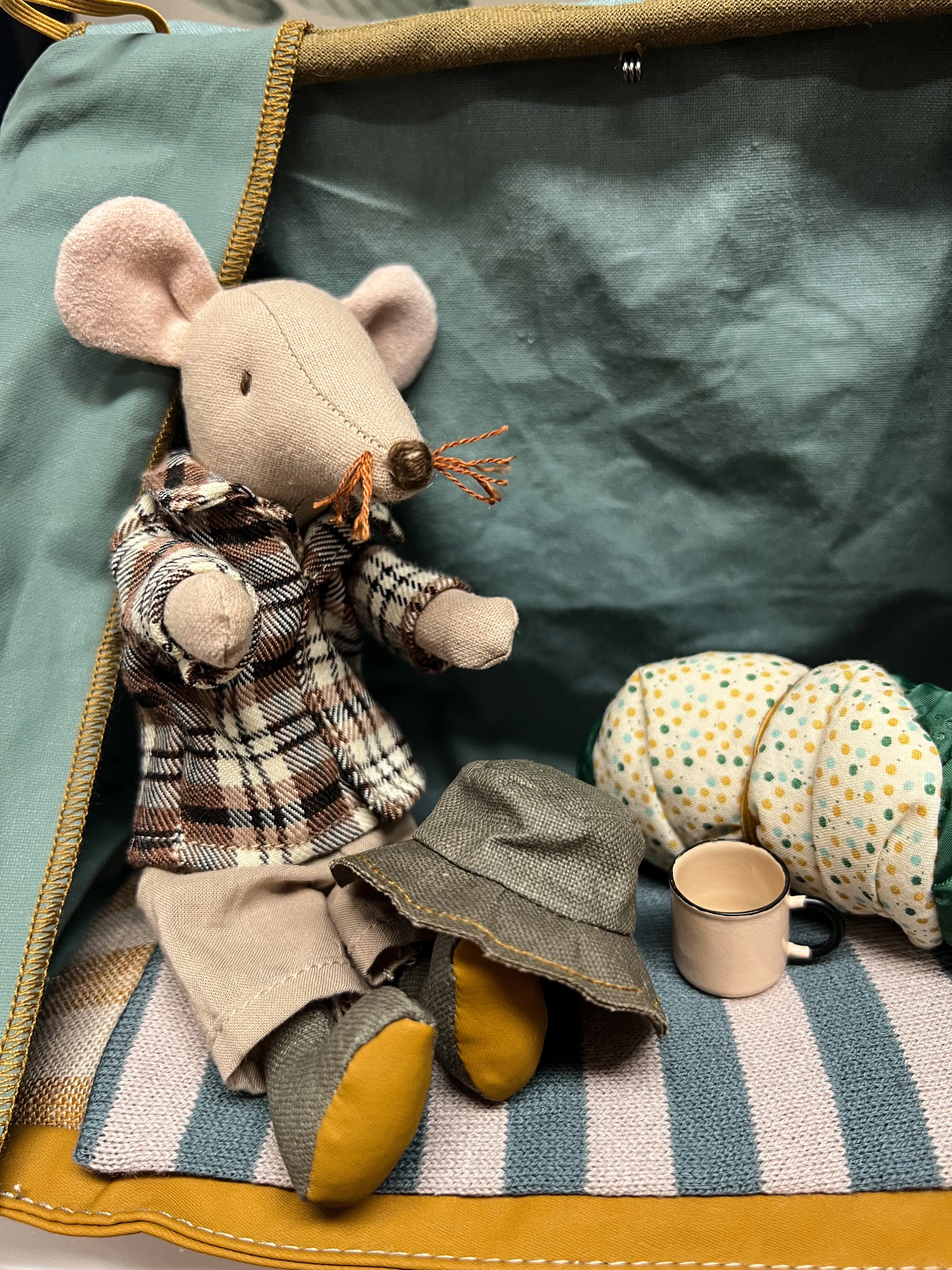 Wildlife Guide Mouse