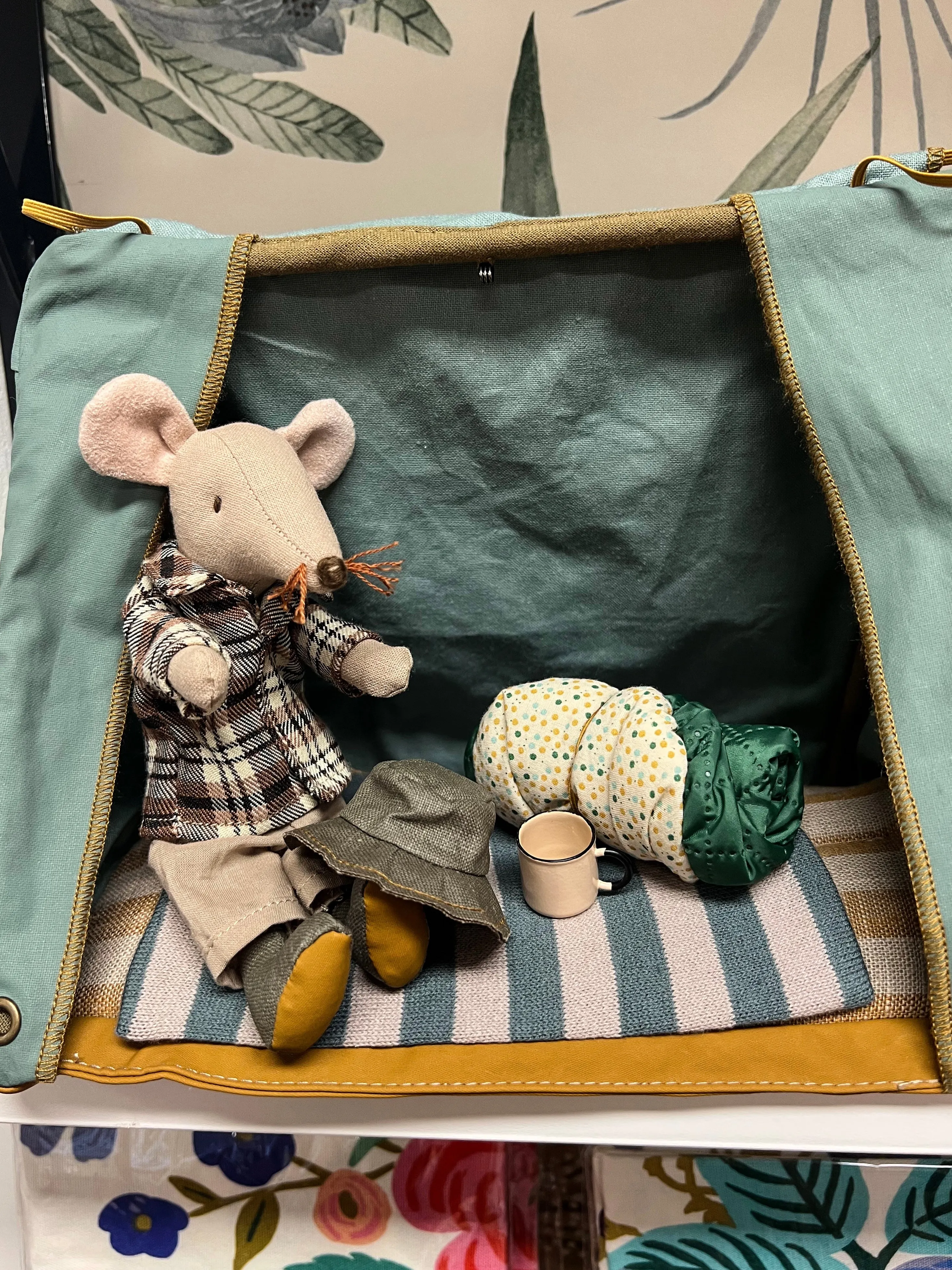 Wildlife Guide Mouse